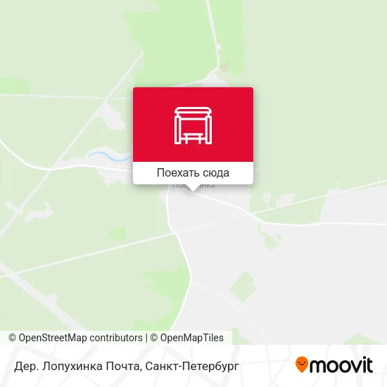 Карта Дер. Лопухинка Почта