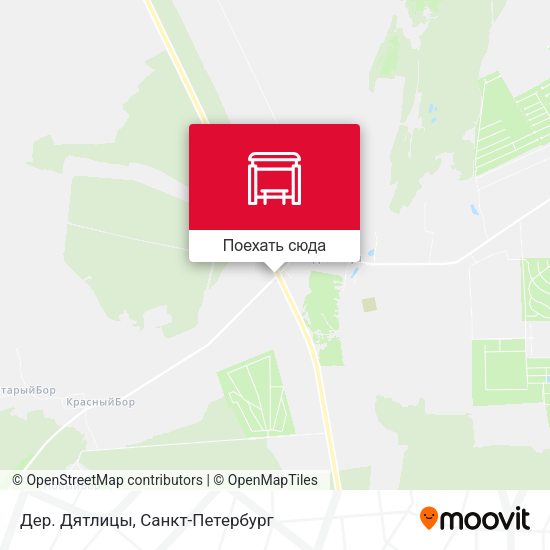 Карта Дер. Дятлицы