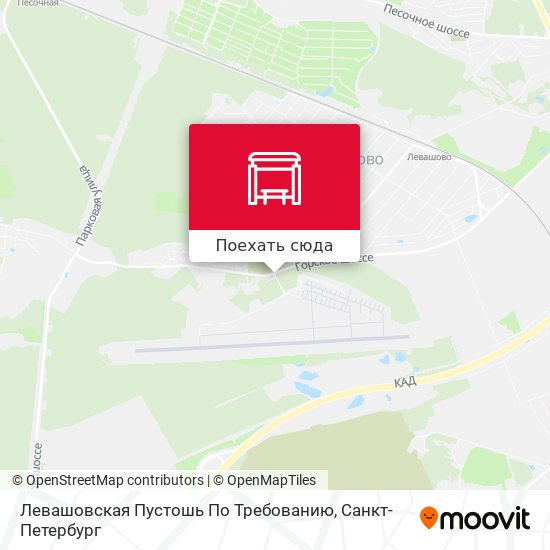 Карта Левашовская Пустошь По Требованию