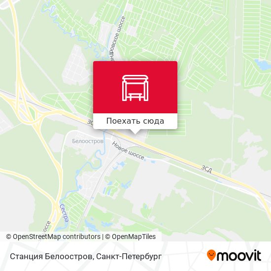 Карта Станция Белоостров