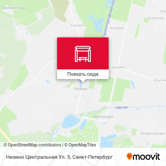 Карта Низино Центральная Ул. 5
