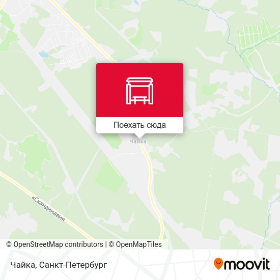 Карта Чайка