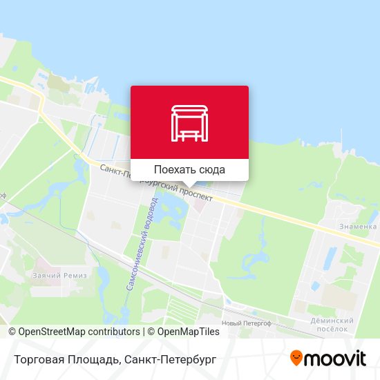 Карта Торговая Площадь