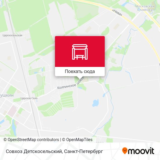 Карта Совхоз Детскосельский