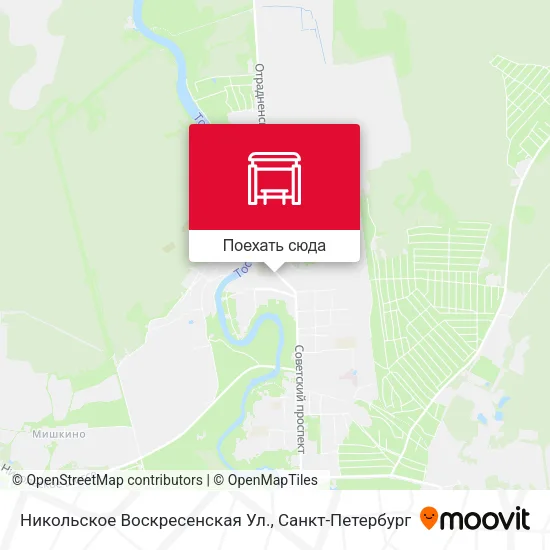 Карта Никольское Воскресенская Ул.
