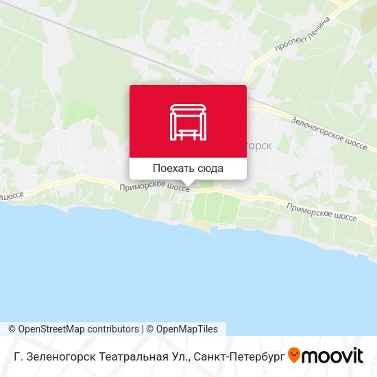 Карта Г. Зеленогорск Театральная Ул.
