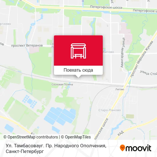 Карта Ул. Тамбасовауг. Пр. Народного Ополчения