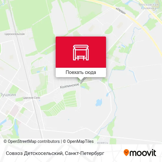 Карта Совхоз Детскосельский