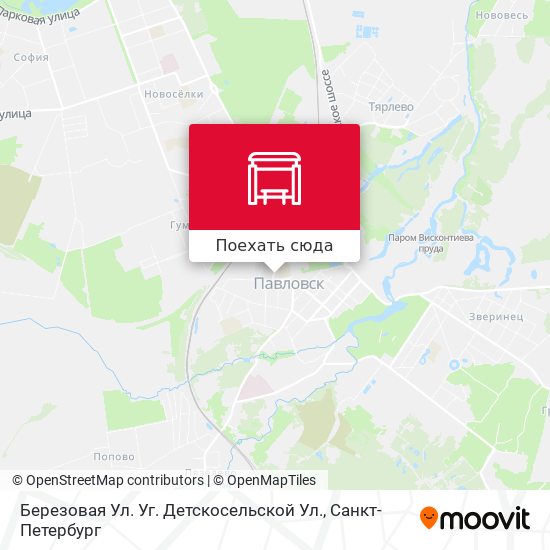 Карта Березовая Ул. Уг.  Детскосельской Ул.