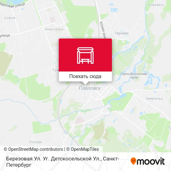 Карта Березовая Ул. Уг.  Детскосельской Ул.
