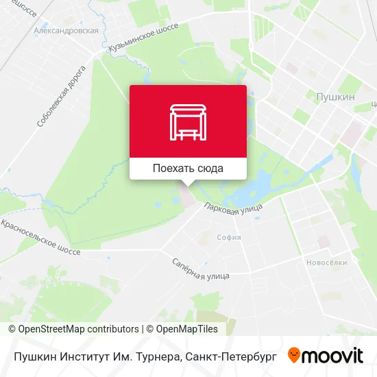 Карта Пушкин Институт Им. Турнера