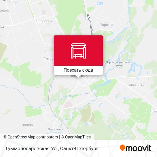 Карта Гуммолосаровская Ул.
