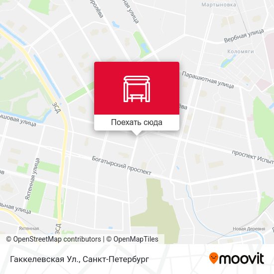 Карта Гаккелевская Ул.