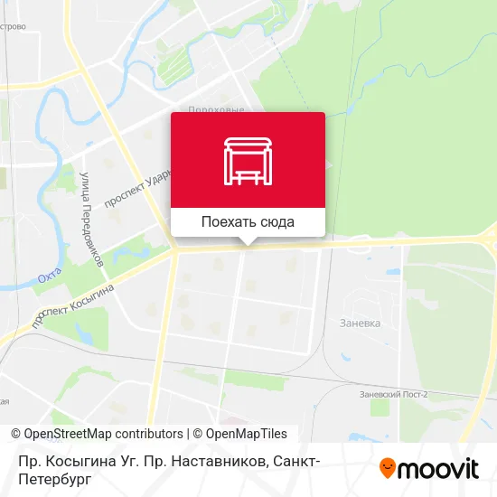 Карта Пр. Косыгина Уг. Пр. Наставников