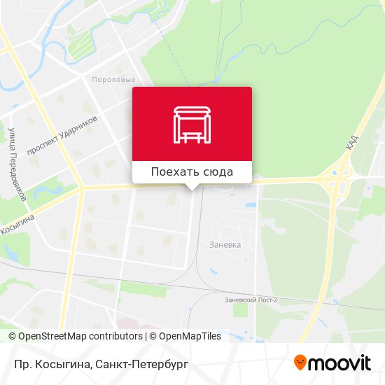 Карта Пр. Косыгина