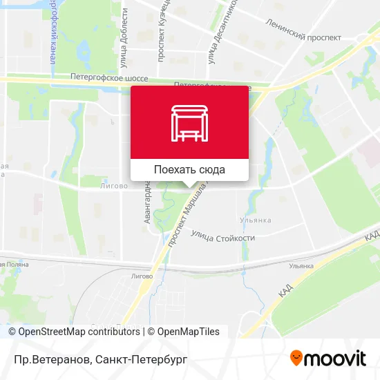 Карта Пр.Ветеранов