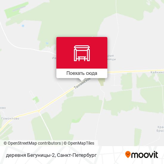 Карта деревня Бегуницы-2
