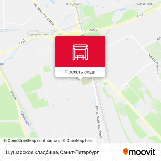 Карта Шушарское кладбище