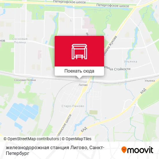 Карта железнодорожная станция Лигово
