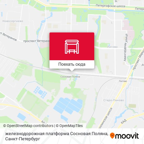 Карта железнодорожная платформа Сосновая Поляна
