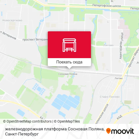 Карта железнодорожная платформа Сосновая Поляна