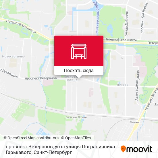 Карта проспект Ветеранов, угол улицы Пограничника Гарькавого