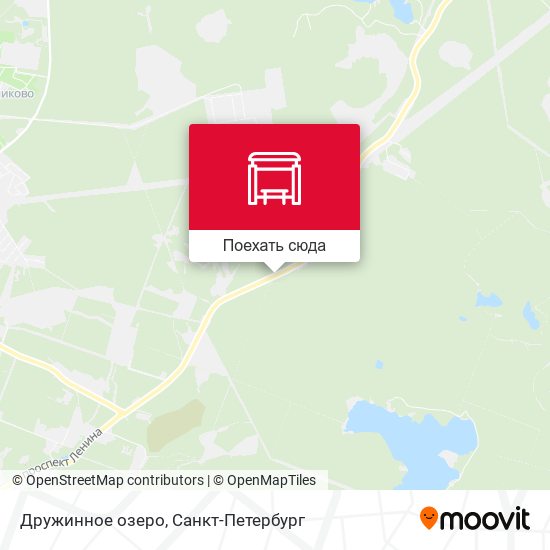 Карта Дружинное озеро
