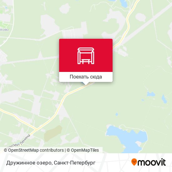 Карта Дружинное озеро
