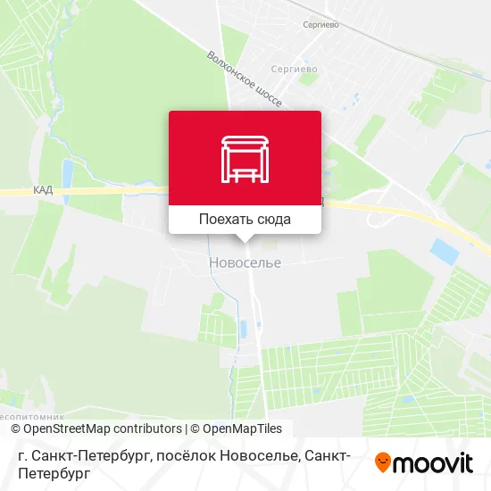 Карта г. Санкт-Петербург, посёлок Новоселье