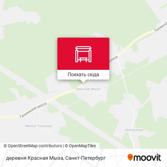 Карта деревня Красная Мыза