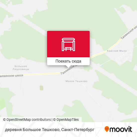 Карта деревня Большое Тешково