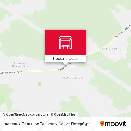 Карта деревня Большое Тешково
