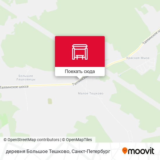 Карта деревня Большое Тешково
