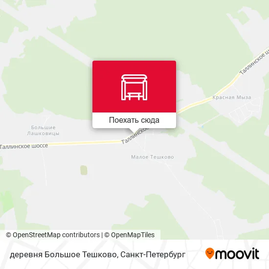 Карта деревня Большое Тешково