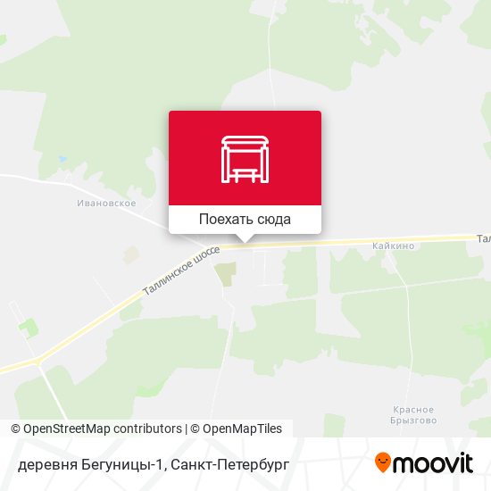 Карта деревня Бегуницы-1