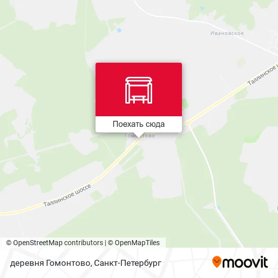 Карта деревня Гомонтово