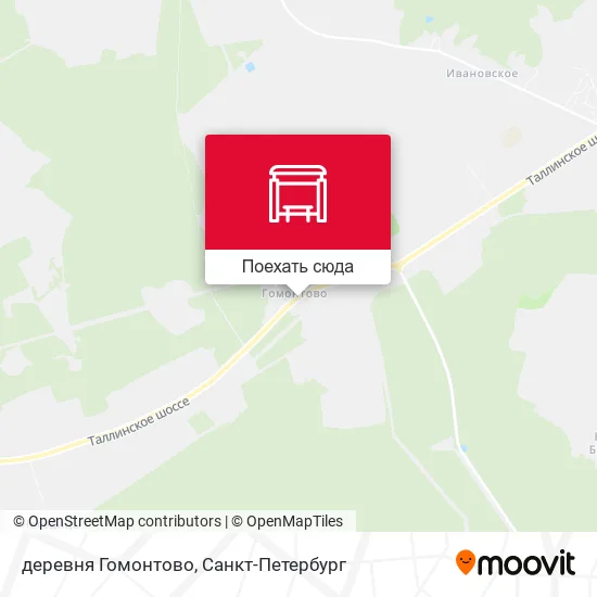 Карта деревня Гомонтово