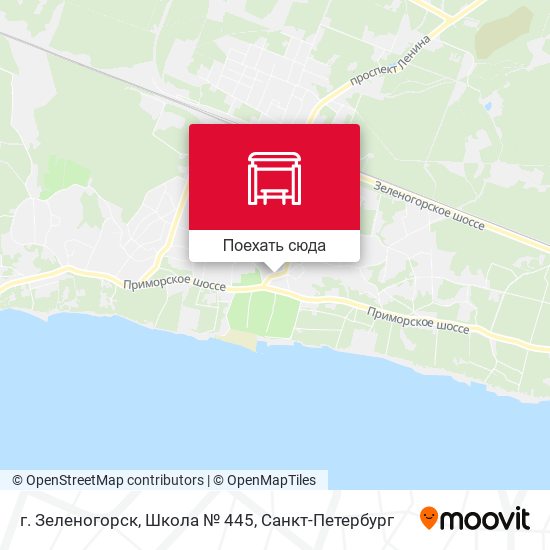 Карта г. Зеленогорск, Школа № 445