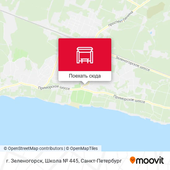 Карта г. Зеленогорск, Школа № 445