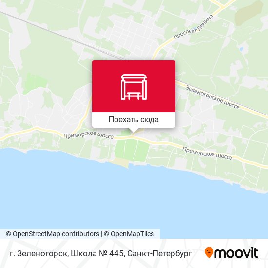 Карта г. Зеленогорск, Школа № 445