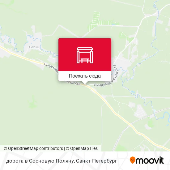 Карта дорога в Сосновую Поляну