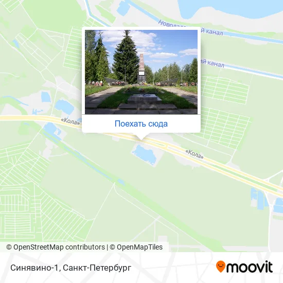 Карта Синявино-1