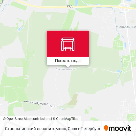 Карта Стрельнинский лесопитомник