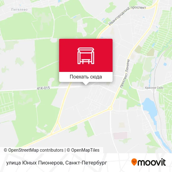 Карта улица Юных Пионеров