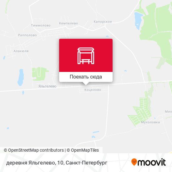 Карта деревня Яльгелево, 10