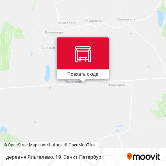 Карта деревня Яльгелево, 19