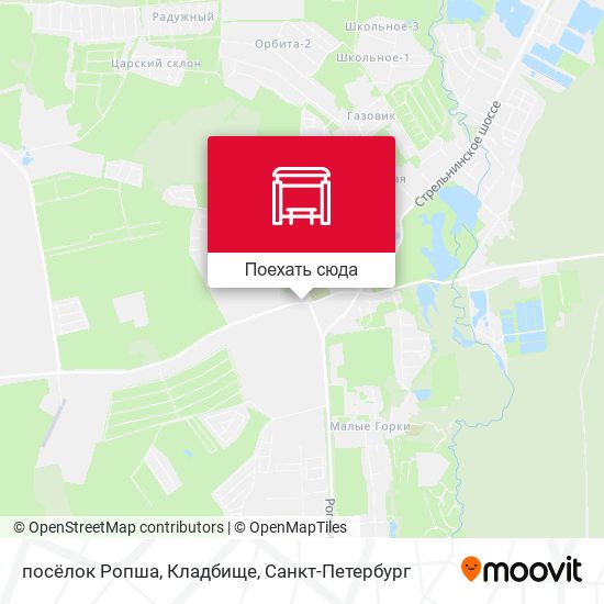 Карта посёлок Ропша, Кладбище