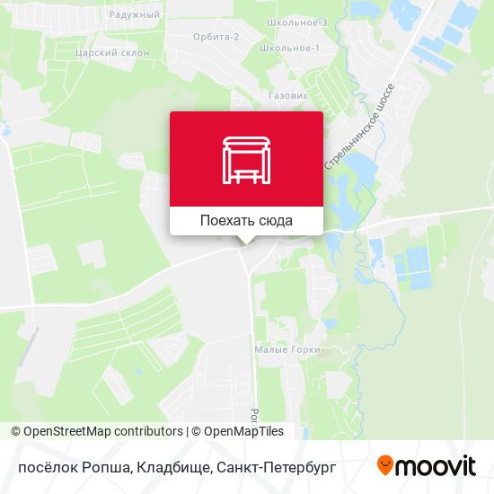Карта посёлок Ропша, Кладбище