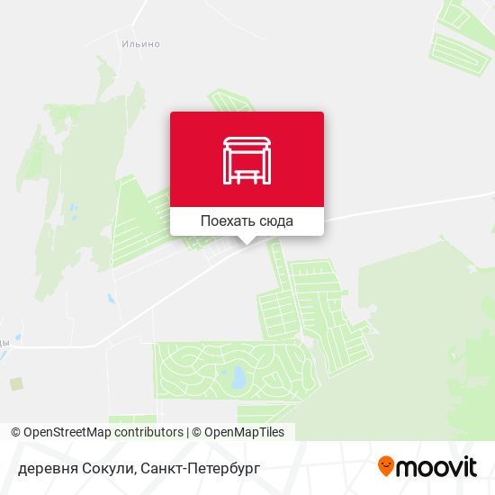 Карта деревня Сокули