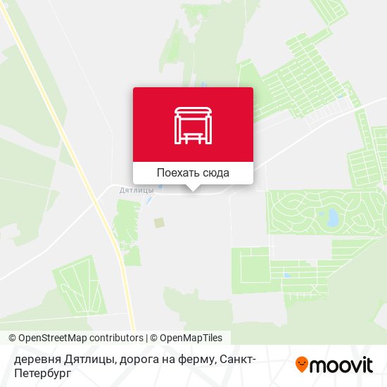 Карта деревня Дятлицы, дорога на ферму